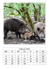 Februar_Frischling.pdf